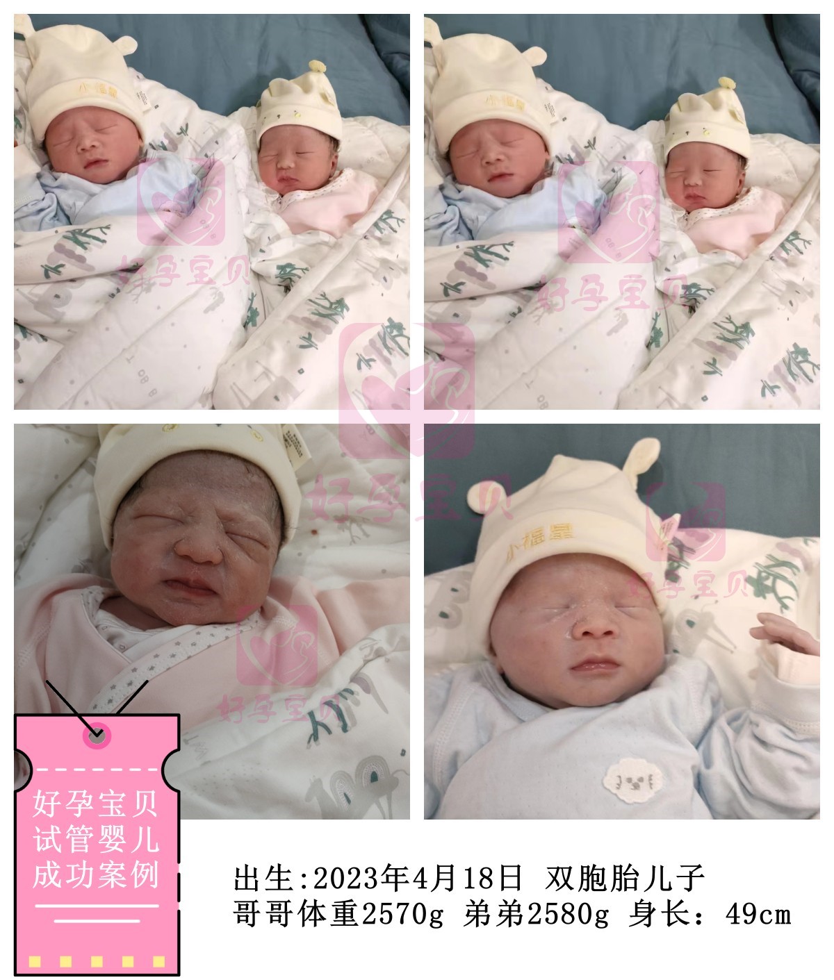 广州助孕机构：好孕助孕公司恭喜上海的S女士在星韫；喜得双胞胎男宝